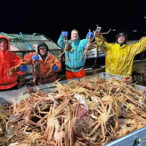 Live and Frozen King Crab for sale, Live/Frozen, RED King Crab, Alaskan King Crabs