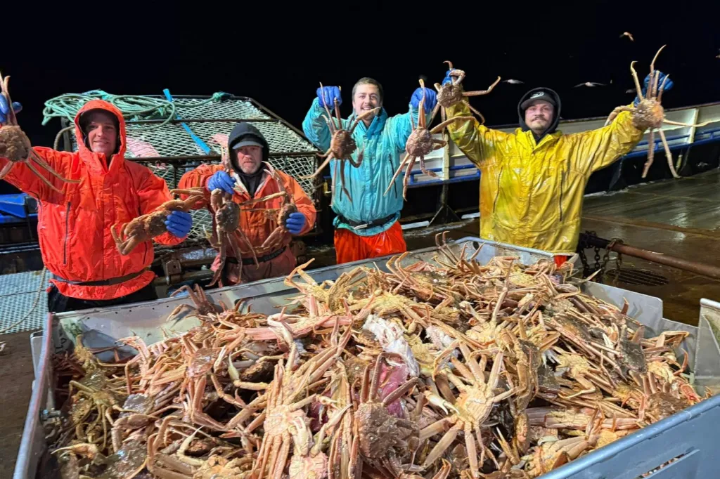 Live and Frozen King Crab for sale, Live/Frozen, RED King Crab, Alaskan King Crabs