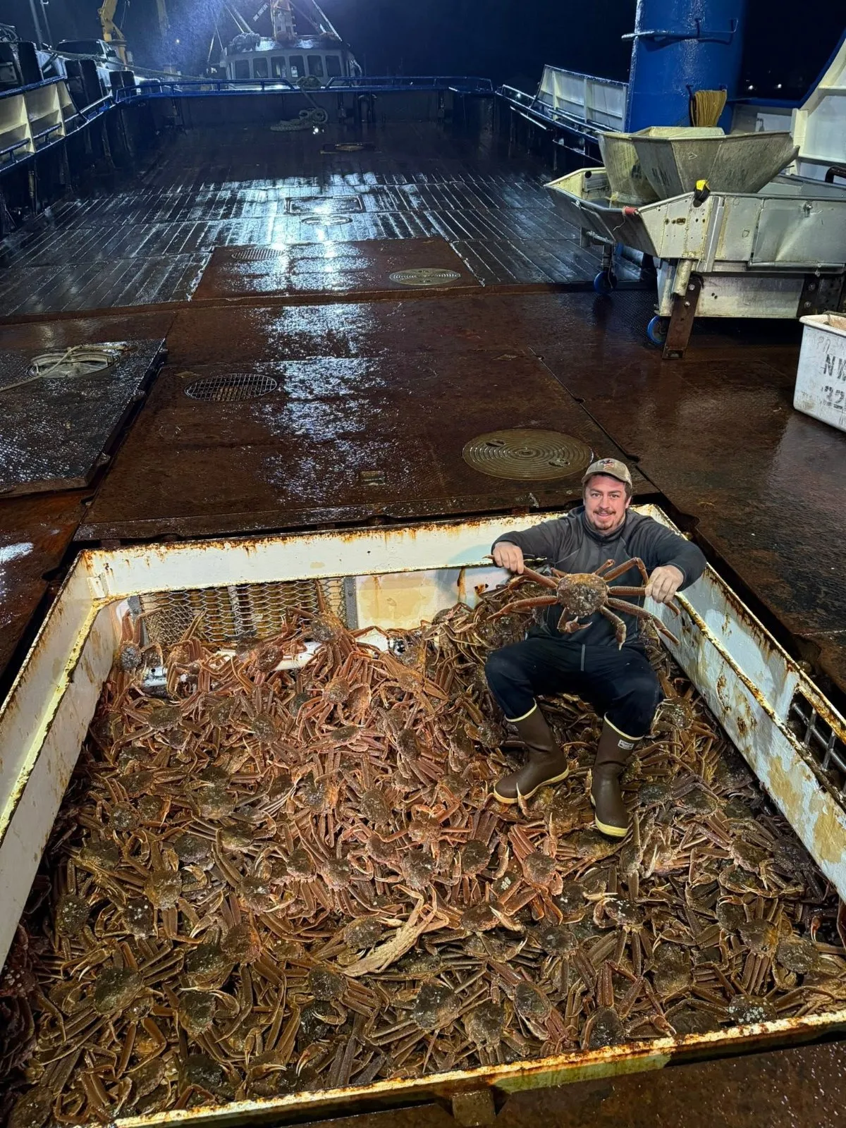 Live and Frozen King Crab for sale, Live/Frozen, RED King Crab, Alaskan King Crabs