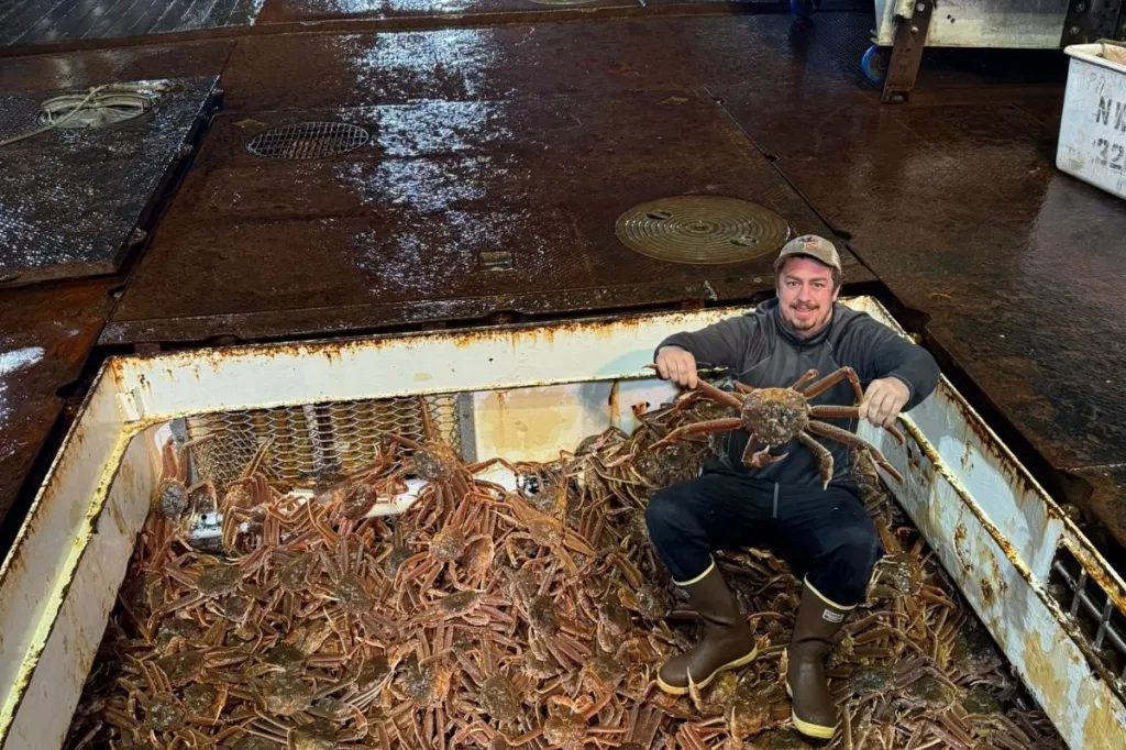 Live and Frozen King Crab for sale, Live/Frozen, RED King Crab, Alaskan King Crabs
