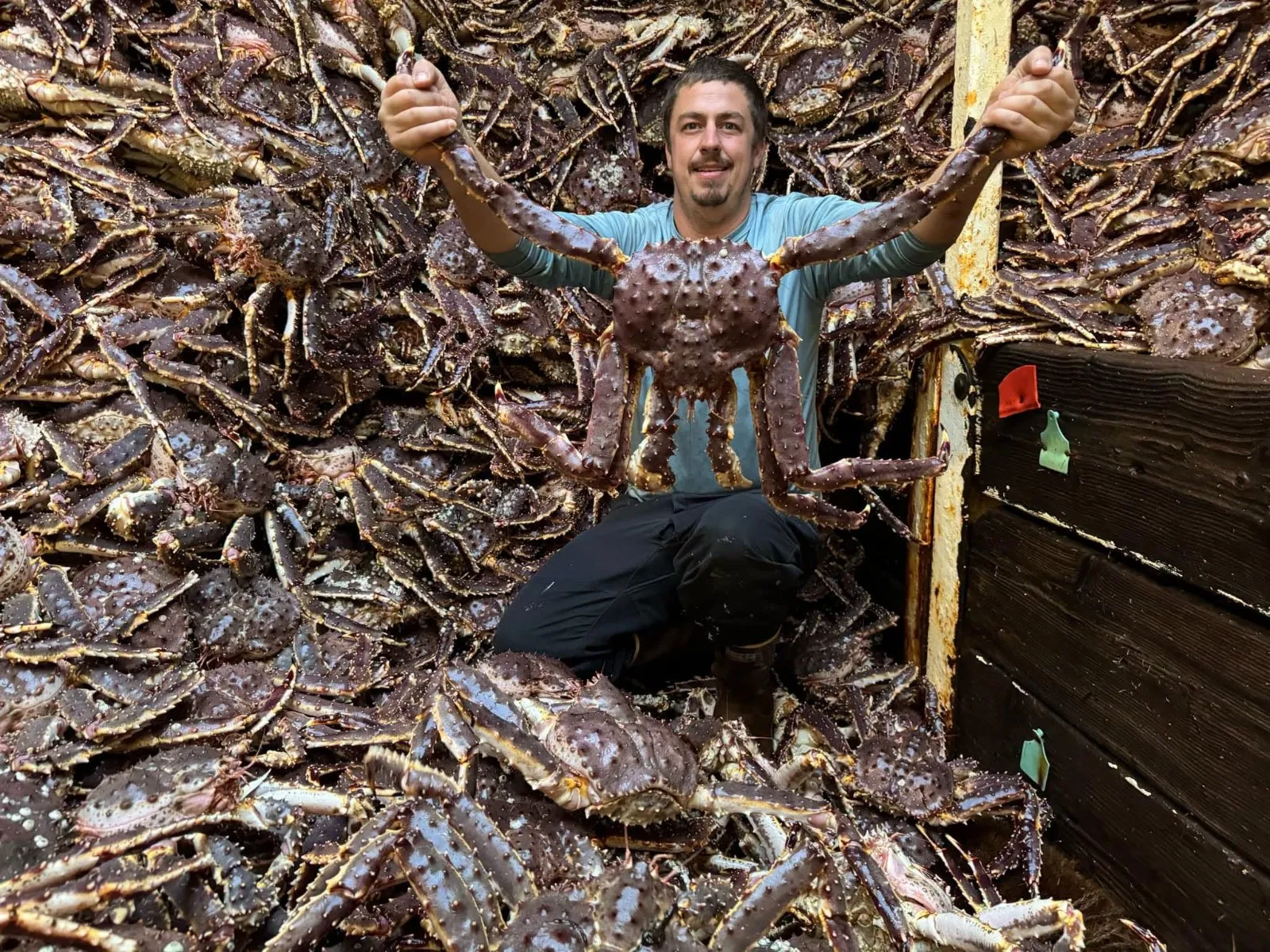 Live and Frozen King Crab for sale, Live/Frozen, RED King Crab, Alaskan King Crabs