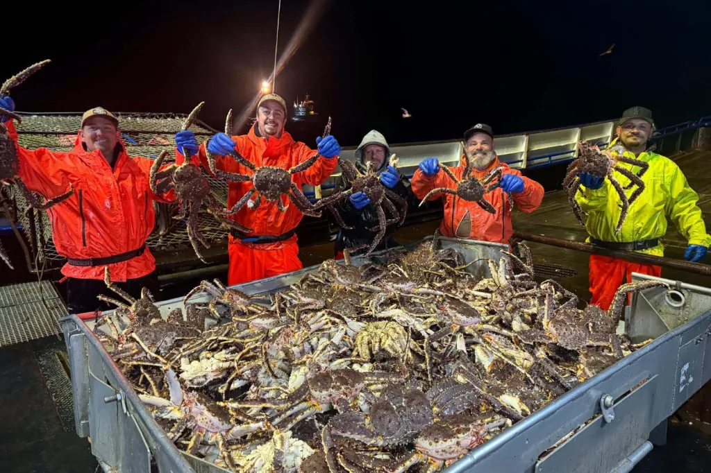 Live and Frozen King Crab for sale, Live/Frozen, RED King Crab, Alaskan King Crabs