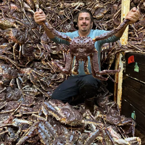 Live King Crab Premium Norwegian Red King Crab Supplier