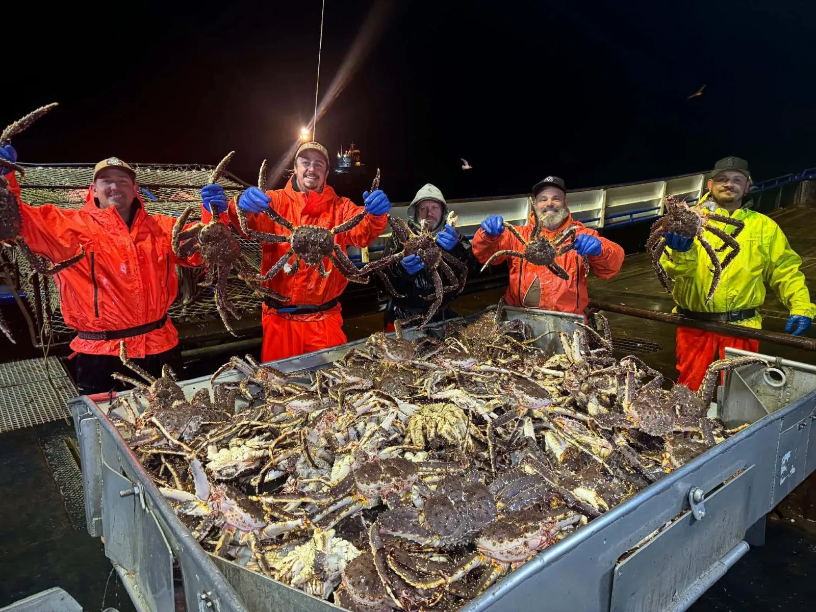 Live King Crab Premium Norwegian Red King Crab Supplier