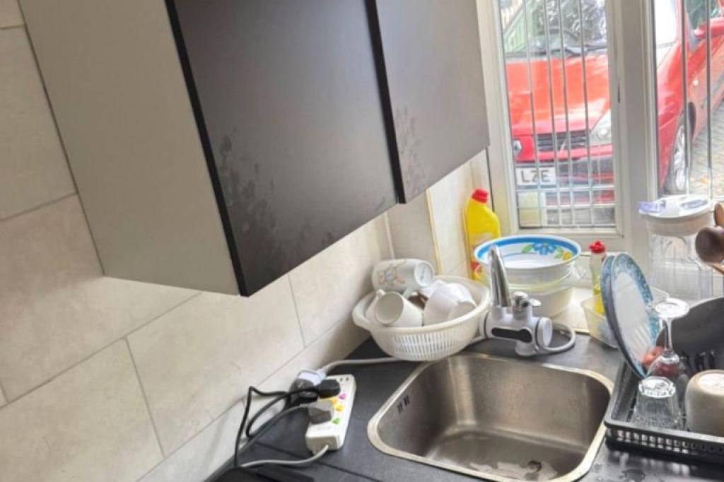 Nowtrade Free Classified Ads