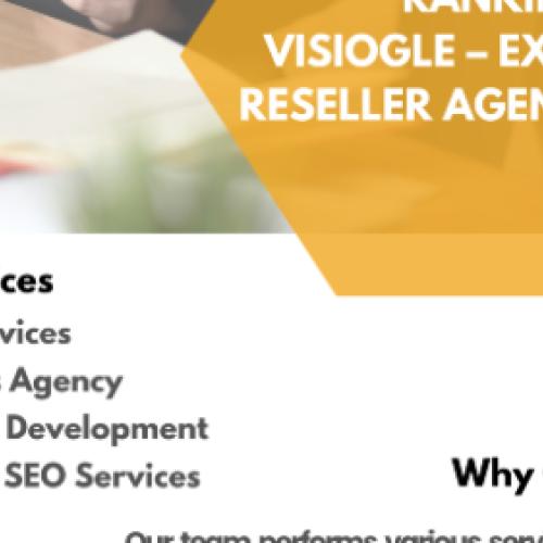 Boost Client Rankings with Visiogle – Expert SEO Reseller Agency India