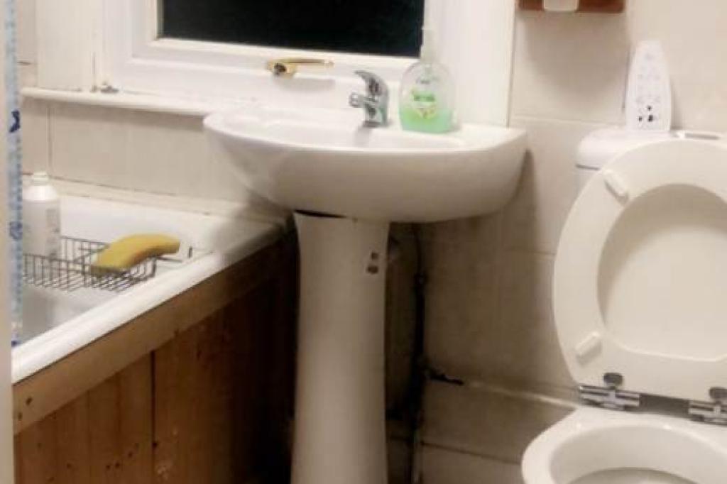 Nowtrade Free Classified Ads