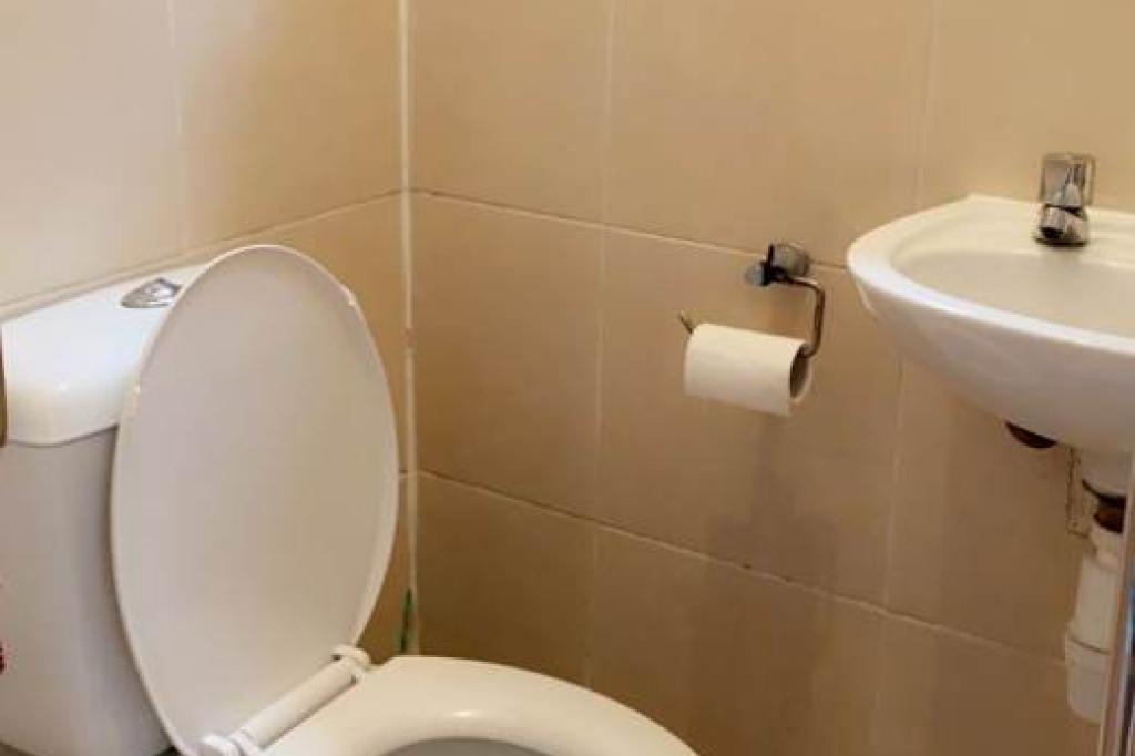 Nowtrade Free Classified Ads