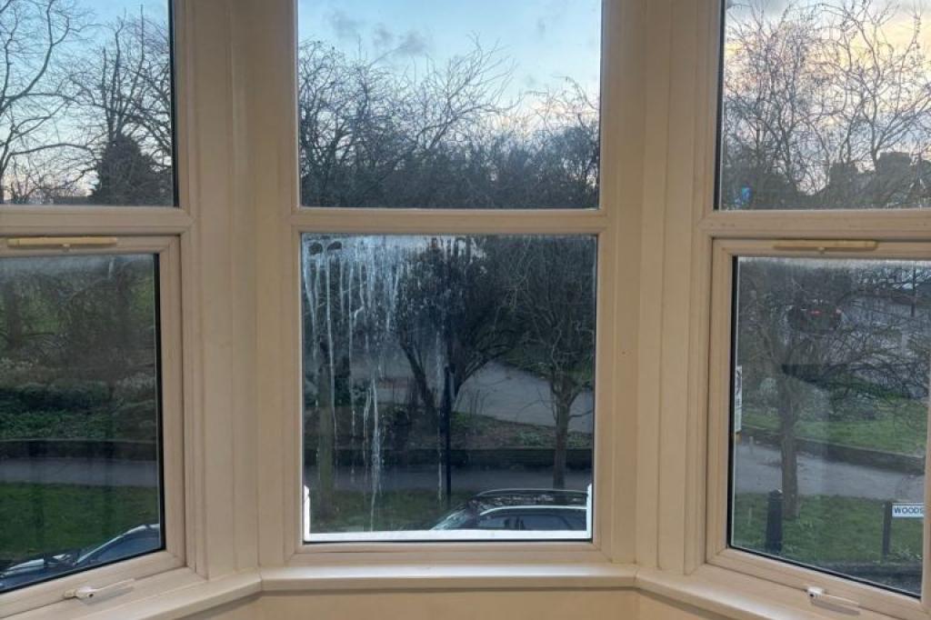 Nowtrade Free Classified Ads