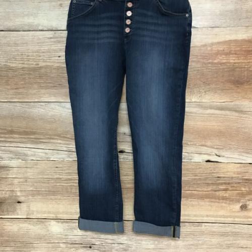 And/Or Blue Venice Beach Boyfriend Jeans