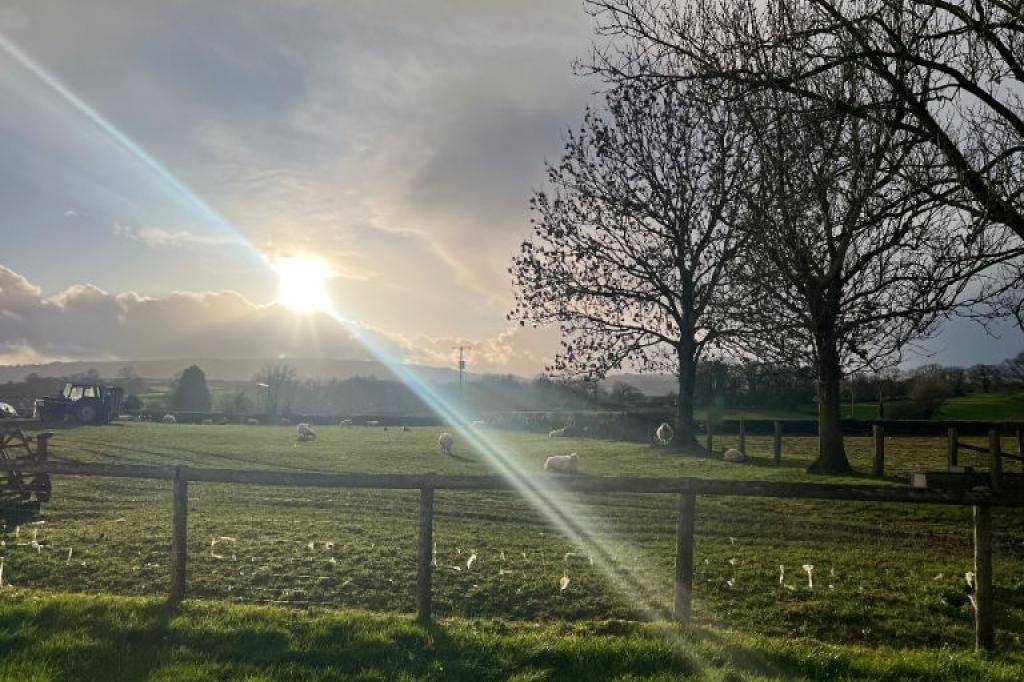 Nowtrade Free Classified Ads