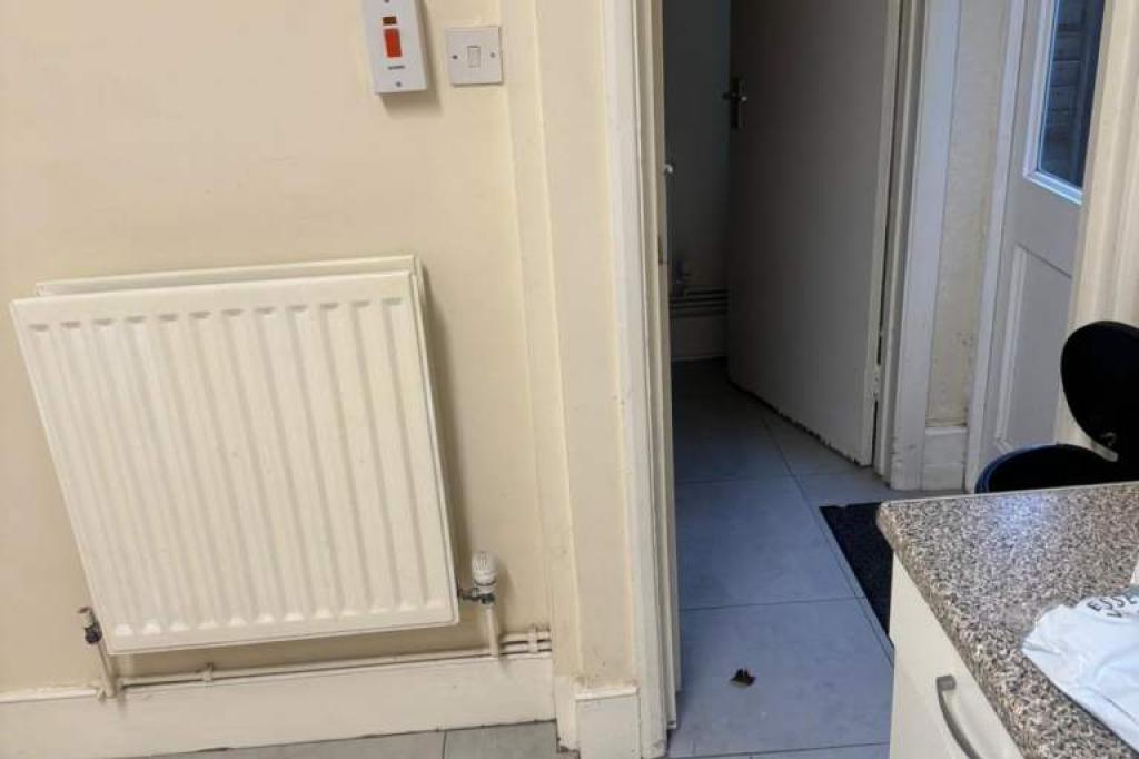 Nowtrade Free Classified Ads