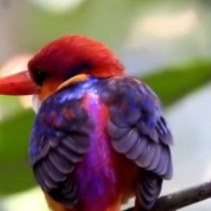 Nowtrade Free Classified Ads