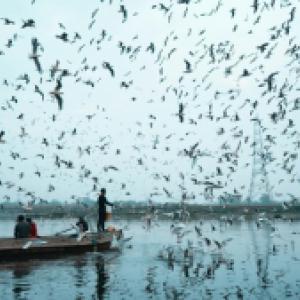 Nowtrade Free Classified Ads