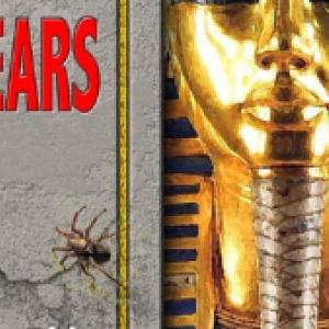 Several novels by an award-winning author