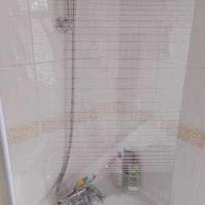 GLASS SHOWER SCREEN AND MIXER TAPS