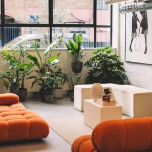 Nowtrade Free Classified Ads