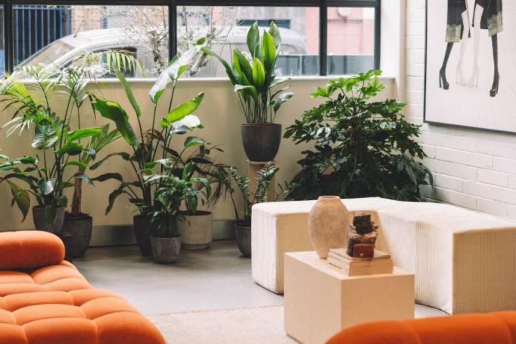 Nowtrade Free Classified Ads