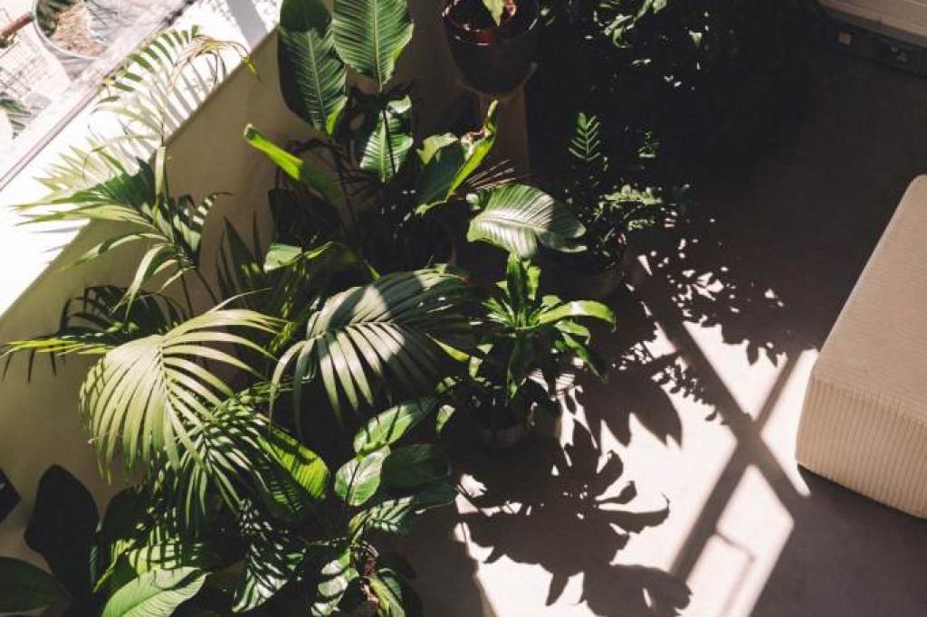 Nowtrade Free Classified Ads