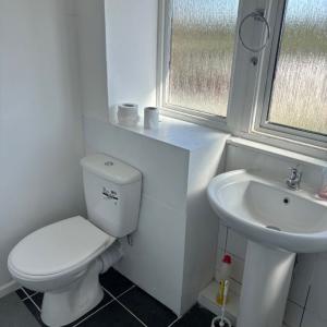 Nowtrade Free Classified Ads