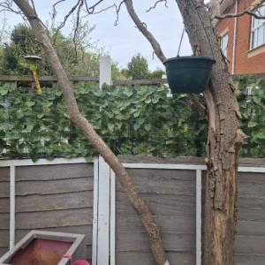 Nowtrade Free Classified Ads