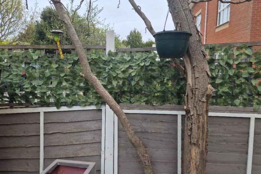 Nowtrade Free Classified Ads