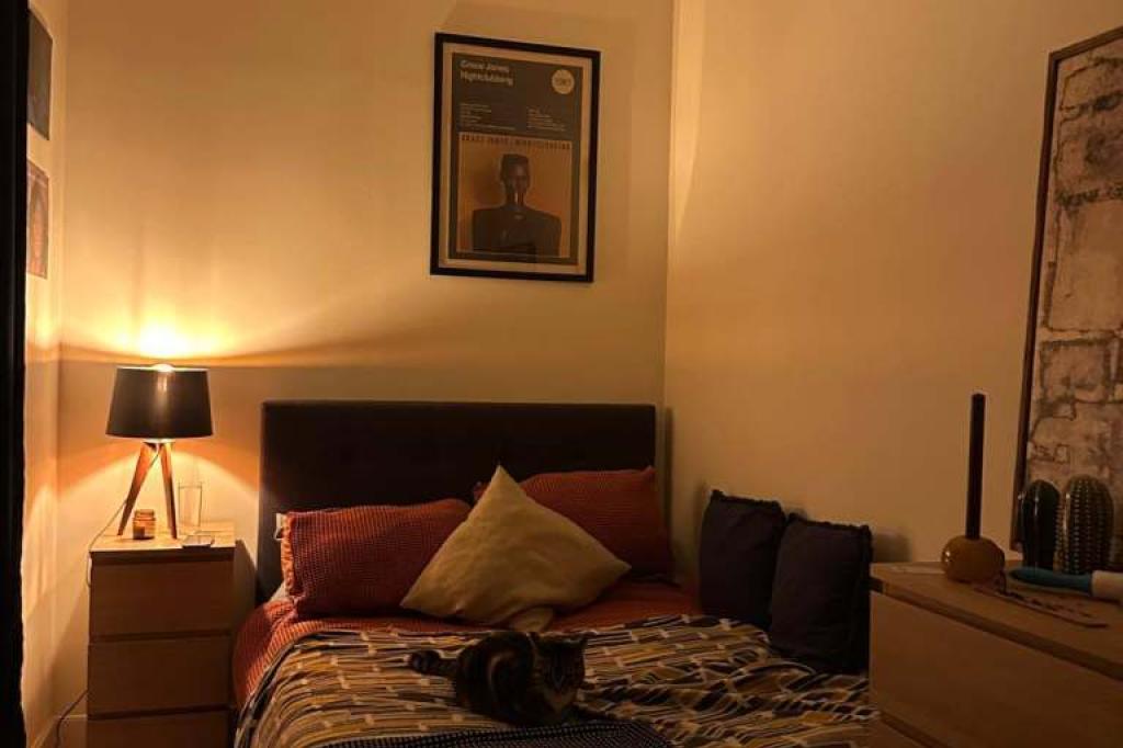 Nowtrade Free Classified Ads