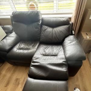 Dfs electric two seater