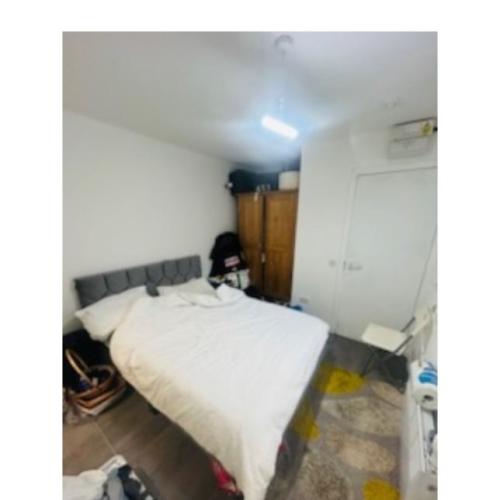 Studio flat rent