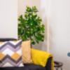 Nowtrade Free Classified Ads
