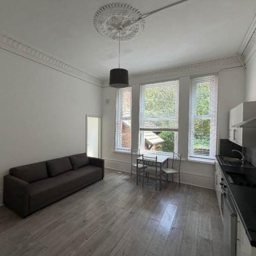Studio Flat for Rent - 43 Palatine Road,