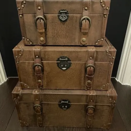 Storage cases x 3