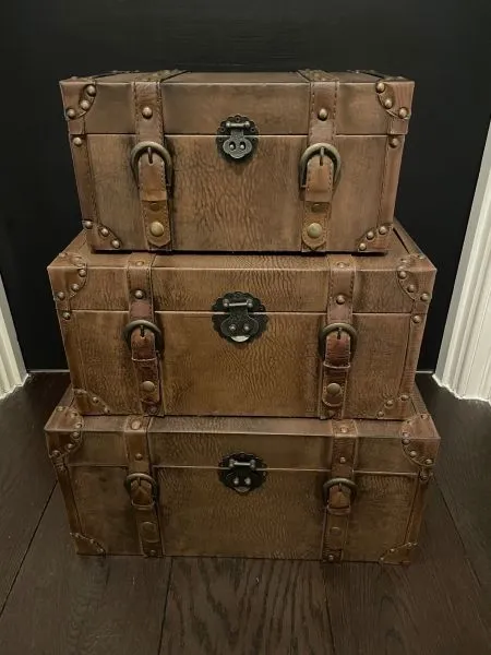 Storage cases x 3