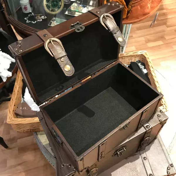Storage cases x 3