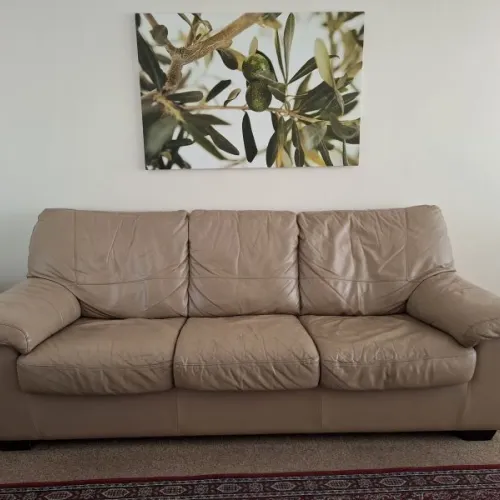 Free DFS Leather 3-seater sofa bed and 2-seater sofa