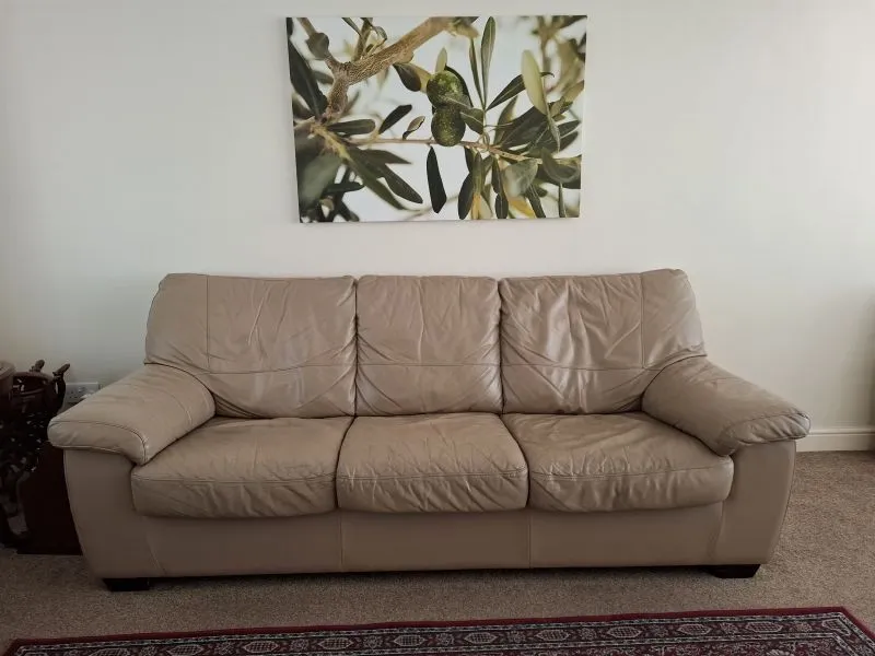 Free DFS Leather 3-seater sofa bed and 2-seater sofa