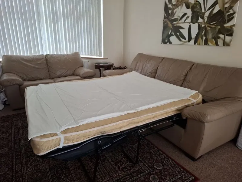 Free DFS Leather 3-seater sofa bed and 2-seater sofa