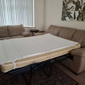 Free DFS Leather 3-seater sofa bed and 2-seater sofa