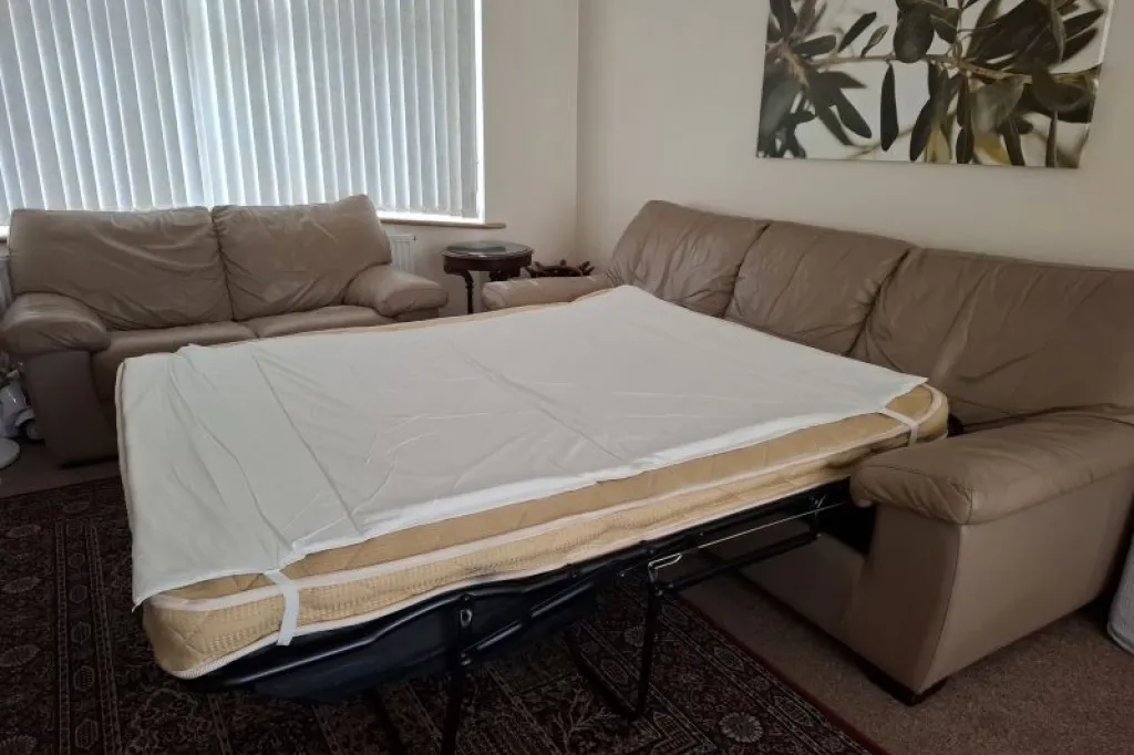 Free DFS Leather 3-seater sofa bed and 2-seater sofa
