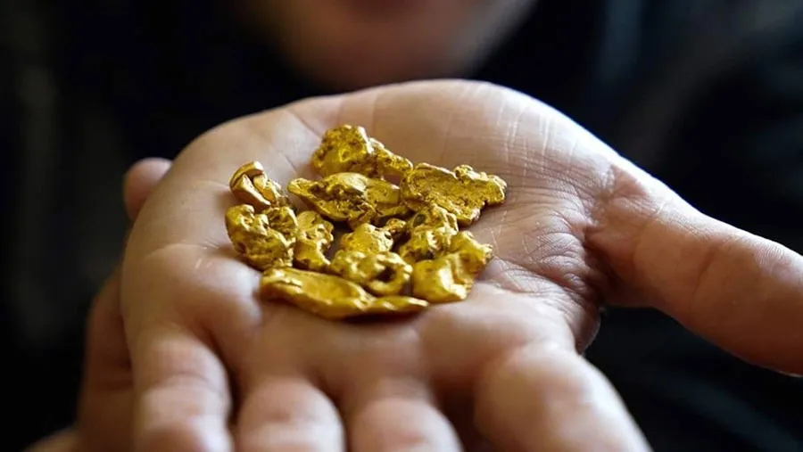 For sales, procurement, or business inquiries regarding the Komoa Goldmine,
