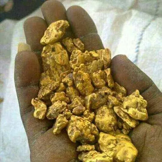 For sales, procurement, or business inquiries regarding the Komoa Goldmine,