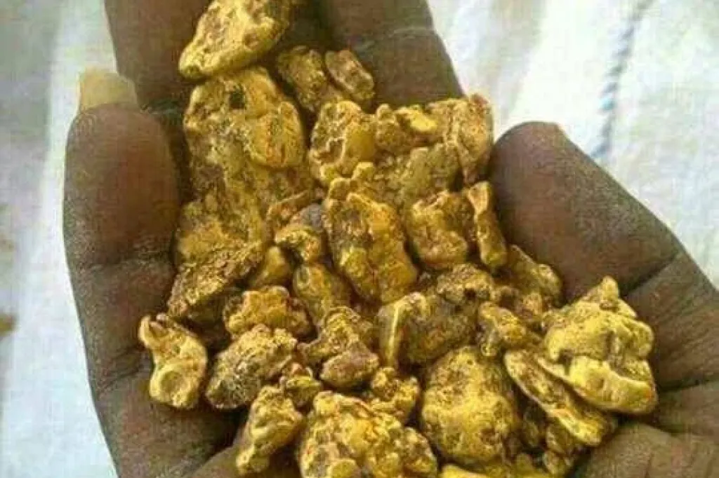 For sales, procurement, or business inquiries regarding the Komoa Goldmine,