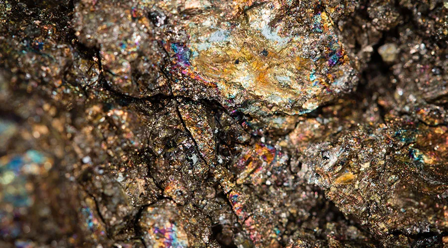 For sales, procurement, or business inquiries regarding the Komoa Goldmine,