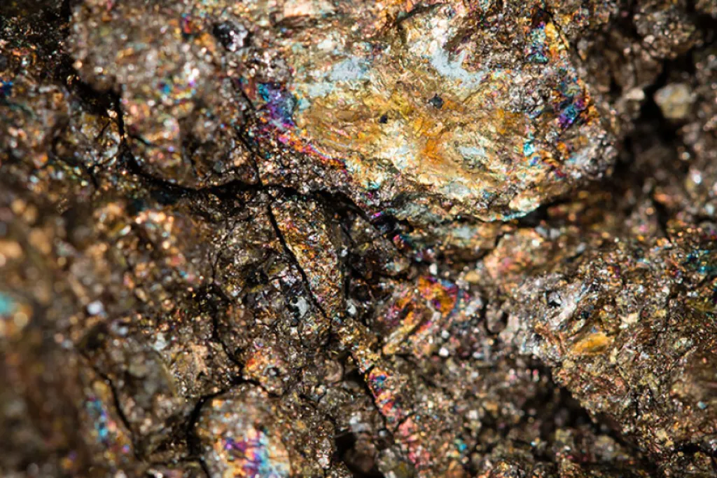 For sales, procurement, or business inquiries regarding the Komoa Goldmine,