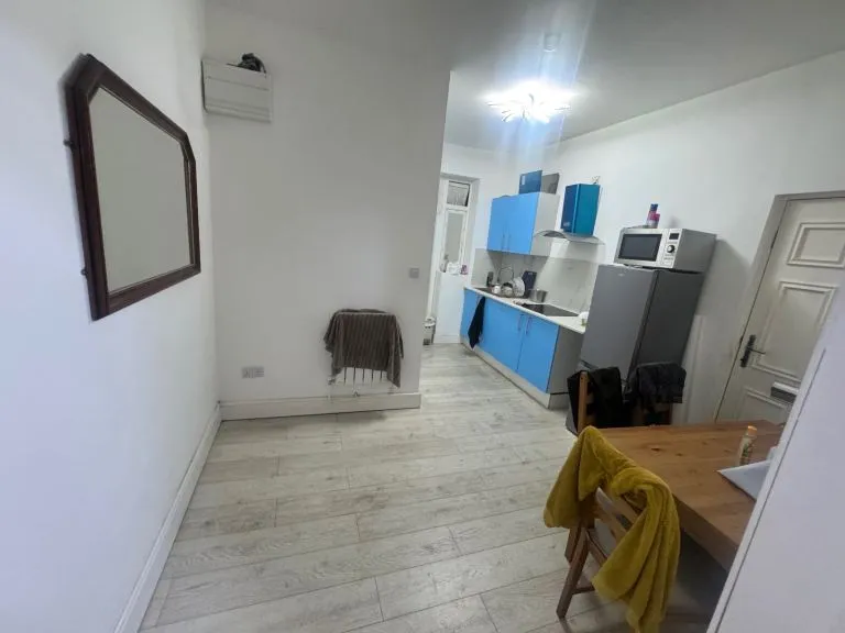 One huge bedroom flat