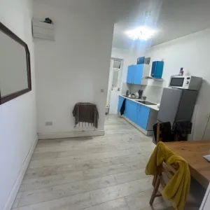 One huge bedroom flat