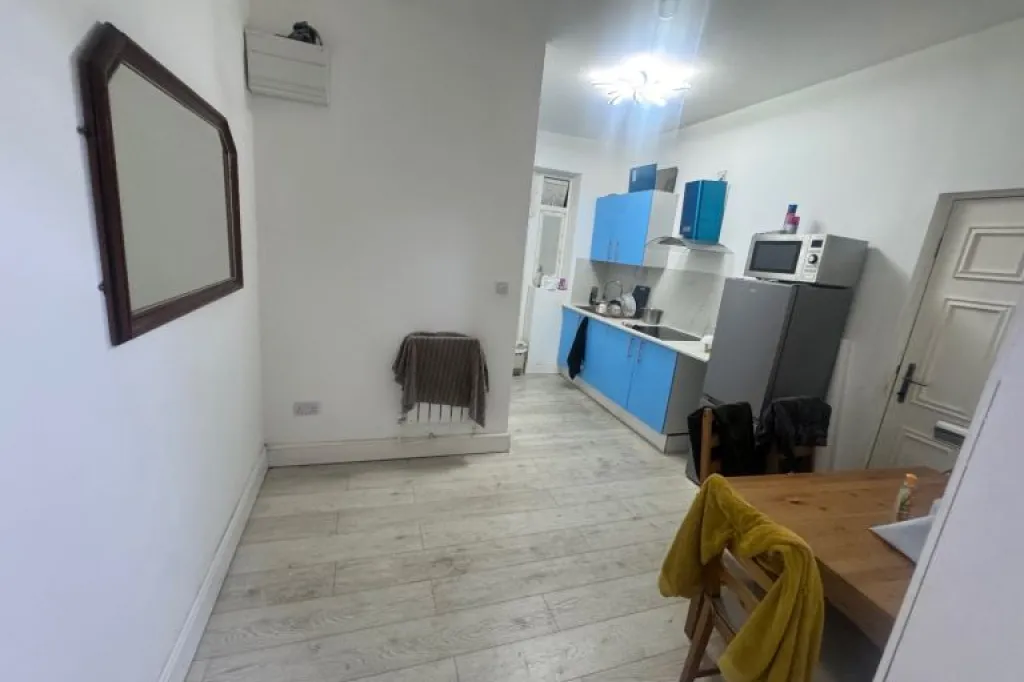 One huge bedroom flat